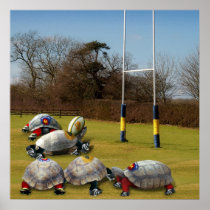Turtle Rugby Posters