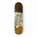 Turtle skateboards