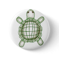 Turtle Sketch