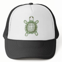 Turtle Sketch