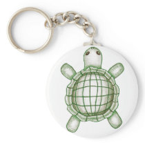 Turtle Sketch