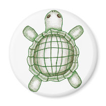 Turtle Sketch