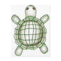 Turtle Sketch