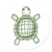 Turtle Sketch