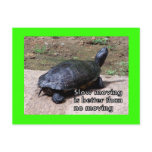 turtle slow Postcard