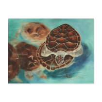 Turtle Time Postcard
