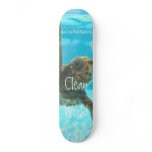 turtleonhomepage, www.CleanWorldWalk.com, Clean... skateboards