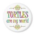 TURTLES are my world magnets