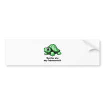 Turtles ate my Homework
