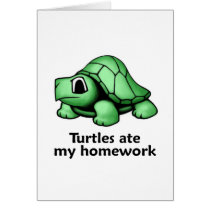 Turtles ate my Homework