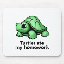 Turtles ate my Homework