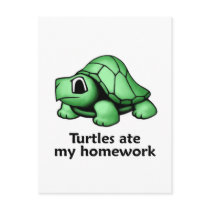 Turtles ate my Homework