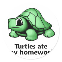 Turtles ate my Homework
