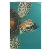 Turtles Galore Greeting Card
