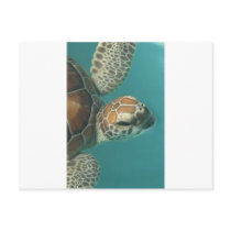 Turtles Galore Post Cards