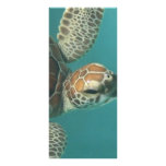Turtles Galore rack cards