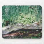 Turtles in a row mouse mat