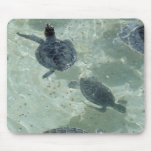 Turtles mousepads