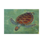Turtles on Canvas Gallery Wrap Canvas