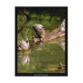 Turtles - Postcard