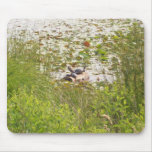 Turtles Sunbathing mousepads