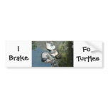 Turtles/Tortoises bumper stickers