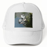 Turtles/Tortoises hats