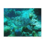 Turtleswimming Postcard