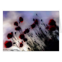 tuscan-poppies greeting cards
