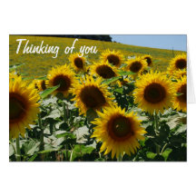 Tuscan Sunflowers Greeting Card