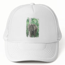Tusked Elephant  Baseball Hat