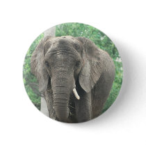 Tusked Elephant  Button