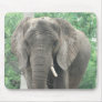 Tusked Elephant  Mouse Pad