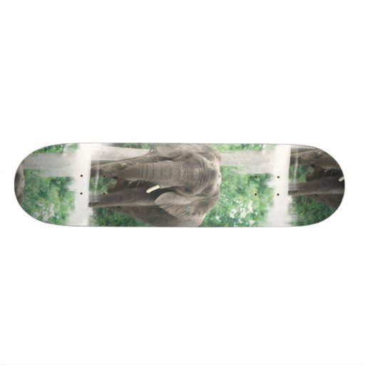 Tusked Elephant  Skateboard