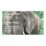 Tusked Elephants Business Cards
