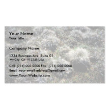 Tussocks Business Cards