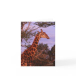Tutwa, Giraffe in Tetswana, Note Card