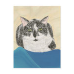 Tuxedo cat postcards