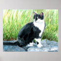 Tuxedo Cat Print