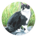 Tuxedo Cat Round Stickers