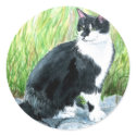 Tuxedo Cat Round Stickers