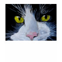 Tuxedo Cat t-shirts