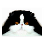 Tuxedo persian cat face business card templates