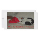 Twas the Night Before Christmas/kitten Personalized Photo Card