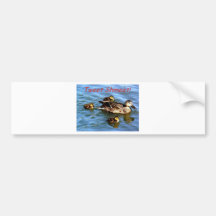 Tweet Shmeet ducklings Bumper Stickers
