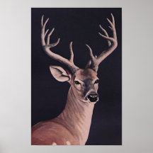 Twelve Pointer Poster