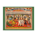 Twenty Funny Felt-Crowned Fools Circus Poster Post Cards