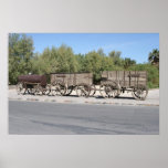Twenty Mules Pulled These Wagons for 165 Miles To posters