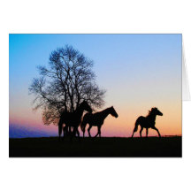 twilight horses greeting cards