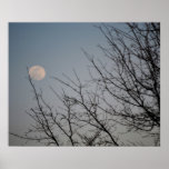 Twilight Print